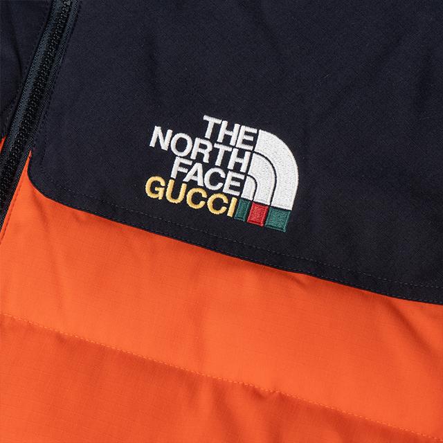 GUCCI x the north face SS22