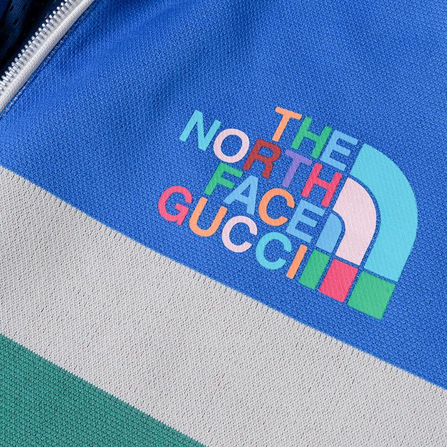 GUCCI x THE NORTH FACE FW22 Logo