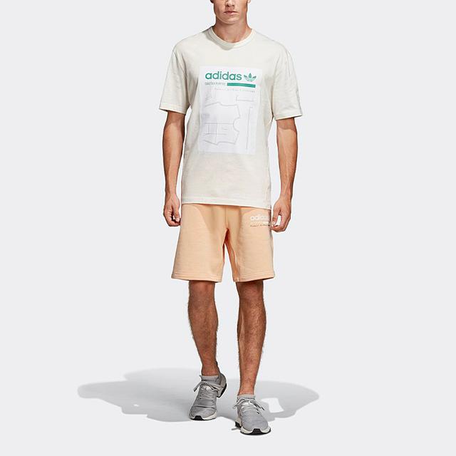 adidas originals Graphic Tee LogoT