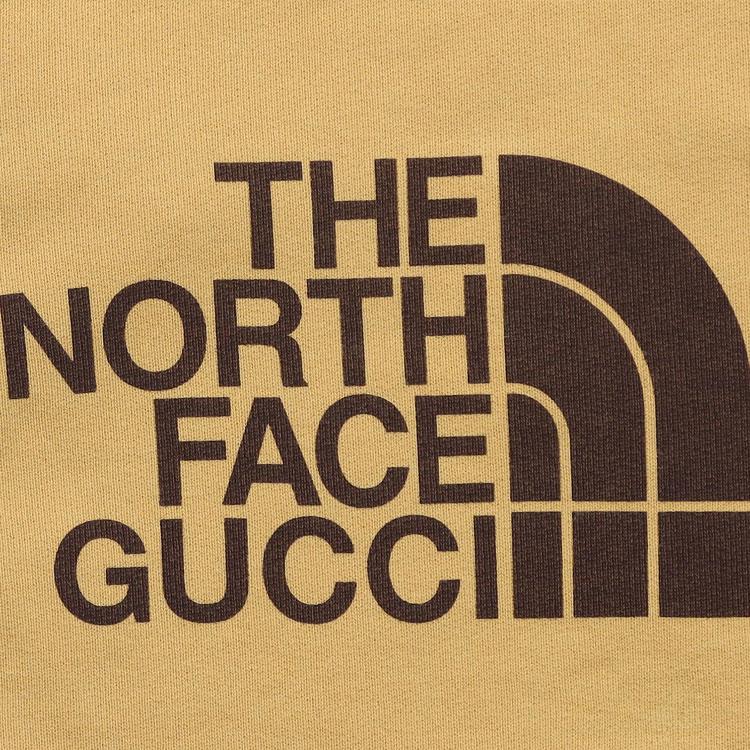GUCCI x the north face logo