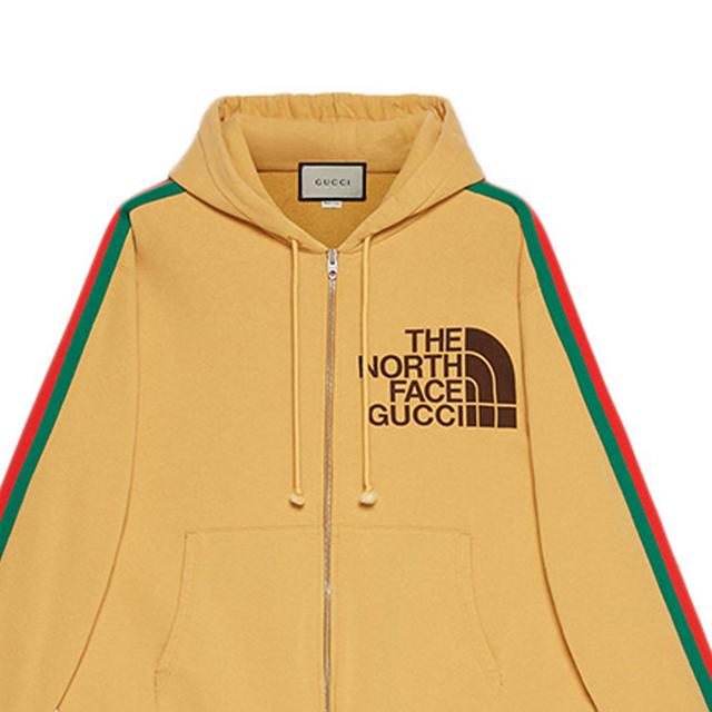 GUCCI x the north face logo