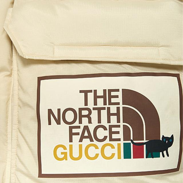 GUCCI x the north face SS22