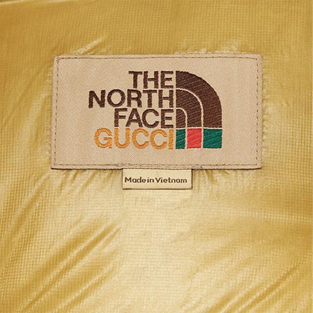 GUCCI x the north face SS22