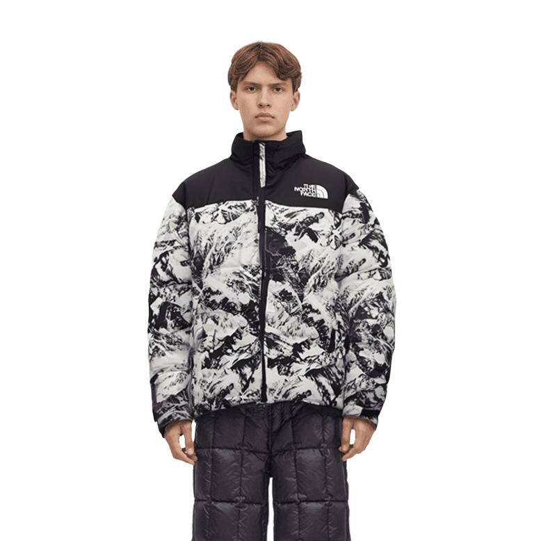 THE NORTH FACE M'S 1996 NOVELTY NUPTSE JACKET