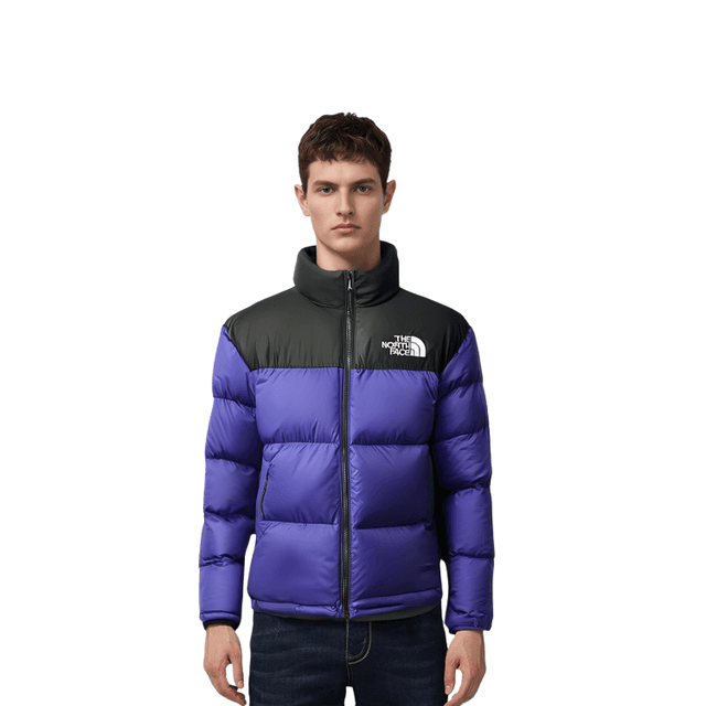 THE NORTH FACE 1996 Logo700