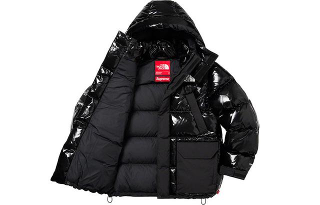Supreme FW22 Week 7 x The North Face 700-Fill Down Parka Logo