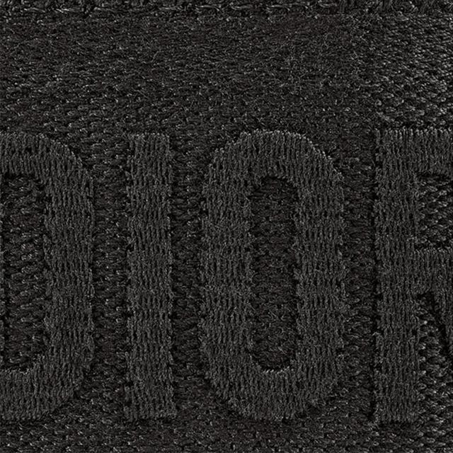 DIOR DiorTravel Logo